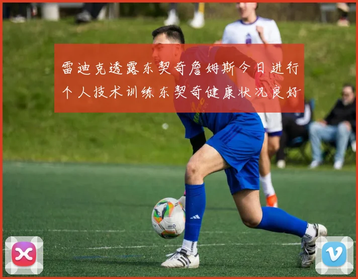 雷迪克透露东契奇詹姆斯今日进行个人技术训练东契奇健康状况良好